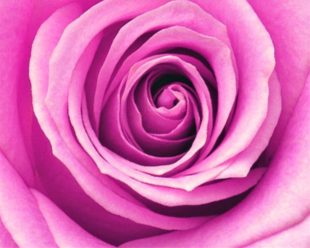 Beibehang 3D photo wallpaper rose swan mural bedroom living room TV background wall custom made 3d wallpaper papel de parede
Beibehang 3D photo wallpaper rose swan mural bedroom living room TV background wall custom made 3d wallpaper papel de parede