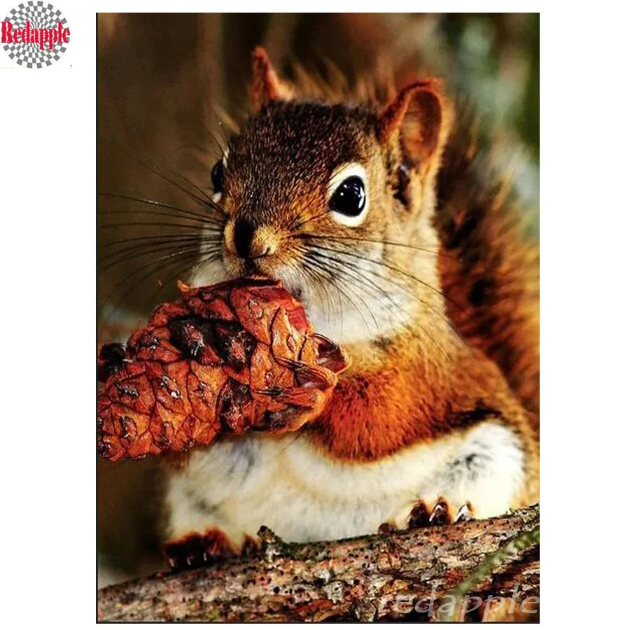 Full square round 5D diamond painting cute squirrel diamond embroidery full display cross stitch kits diamond mosaic home decor
Full square round 5D diamond painting cute squirrel diamond embroidery full display cross stitch kits diamond mosaic home decor