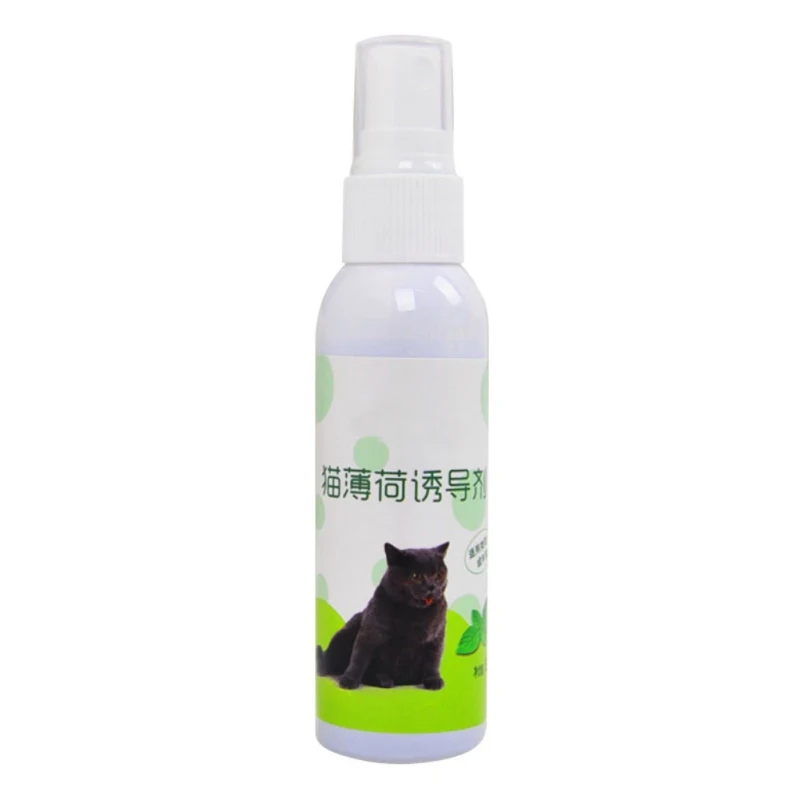 Cat Toy Mint Natural Organic Premium Catnip Menthol Flavor Spray Cat Toys Supplies
Cat Toy Mint Natural Organic Premium Catnip Menthol Flavor Spray Cat Toys Supplies