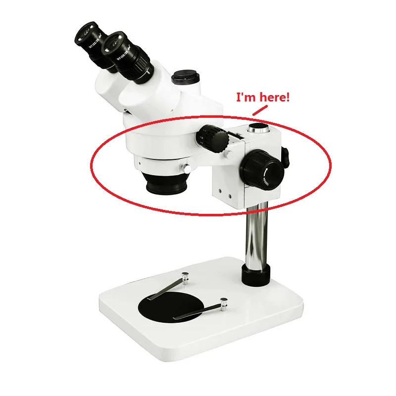 Stereo Microscope Adjustment Focus Arm Holder E Arm Head Holder Ring Arbor Stand Bracket Diameter 76 mm Accessories
Stereo Microscope Adjustment Focus Arm Holder E Arm Head Holder Ring Arbor Stand Bracket Diameter 76 mm Accessories