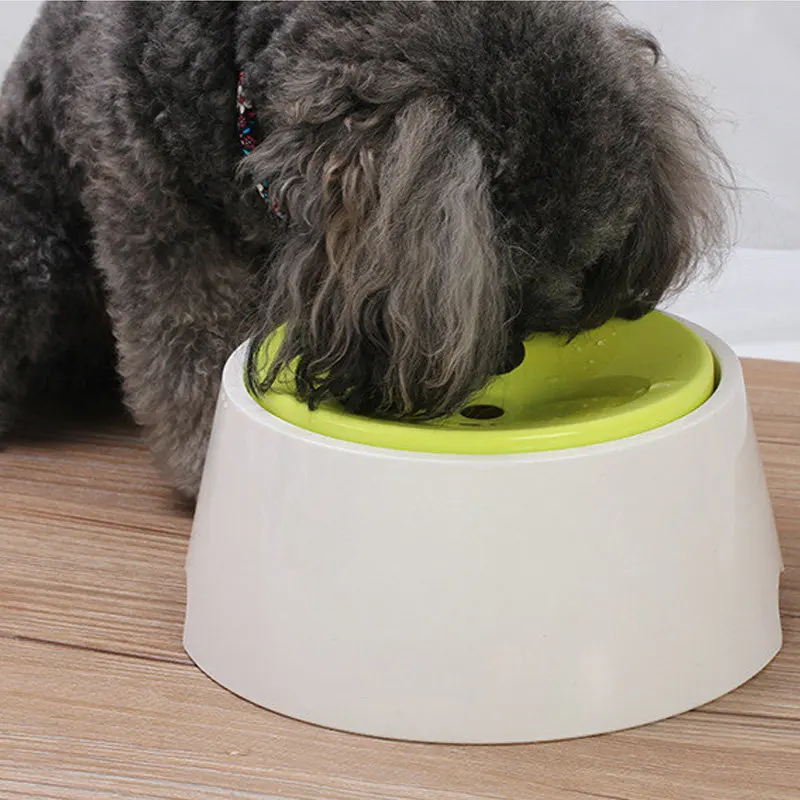 Clearance sale - Pet automatic no spill dog water bowl 1000ml large dog water dispenser for pet cat dog drinking fountain
Clearance sale - Pet automatic no spill dog water bowl 1000ml large dog water dispenser for pet cat dog drinking fountain