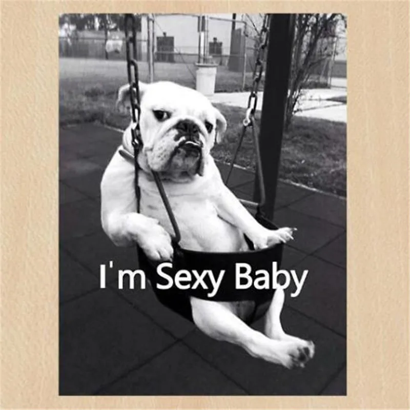 Street Icon Women Men Clothes 250mm Dog I'm Sexy Baby Iron on transfer Printing Patches for clothing T-shirt Patch DIY Stickers
Street Icon Women Men Clothes 250mm Dog I'm Sexy Baby Iron on transfer Printing Patches for clothing T-shirt Patch DIY Stickers