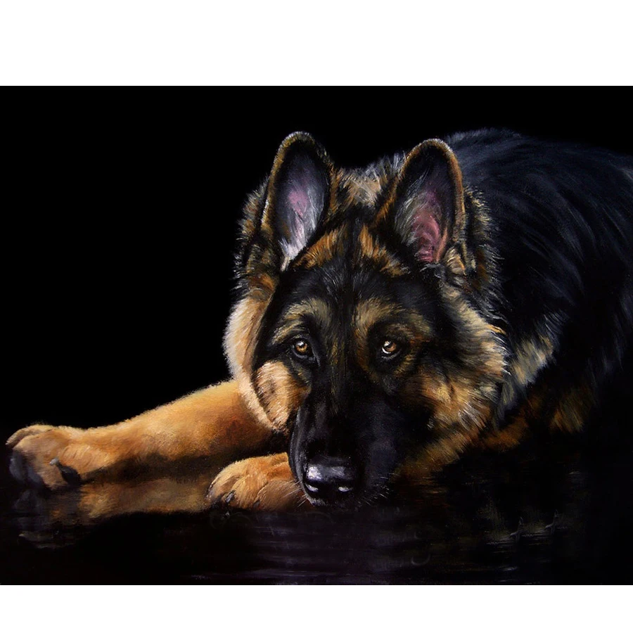 Shepherd dog diamond Embroidery diy diamond painting mosaic diamant painting 3d cross stitch pictures H804
Shepherd dog diamond Embroidery diy diamond painting mosaic diamant painting 3d cross stitch pictures H804