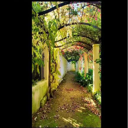 3d wallpaper custom Non-woven Landscape stereoscopic 3 d a grape porch corridor wallpaper
3d wallpaper custom Non-woven Landscape stereoscopic 3 d a grape porch corridor wallpaper