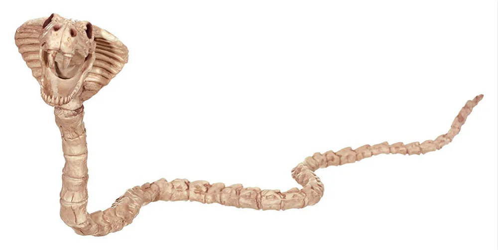 High Qualtity Skeleton Cobra Snake Animal Skeleton Bones for Horror Halloween Party Home Decor Decoration Accessories Decoration
High Qualtity Skeleton Cobra Snake Animal Skeleton Bones for Horror Halloween Party Home Decor Decoration Accessories Decoration