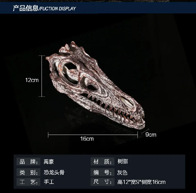 Model Simulation Of High Precision Resin Crafts Exhibition 1:1 Grey Handmade Dinosaur Skull Model
Model Simulation Of High Precision Resin Crafts Exhibition 1:1 Grey Handmade Dinosaur Skull Model