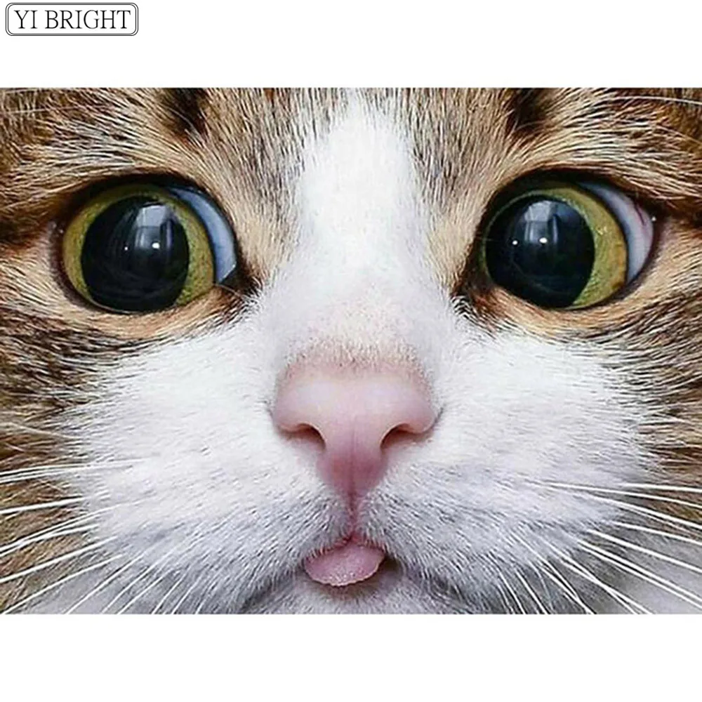 3D 5D DIY full square / round diamond DIY embroidery rhinestone diamond painting cross stitch 2019 new cat home decoration
3D 5D DIY full square / round diamond DIY embroidery rhinestone diamond painting cross stitch 2019 new cat home decoration