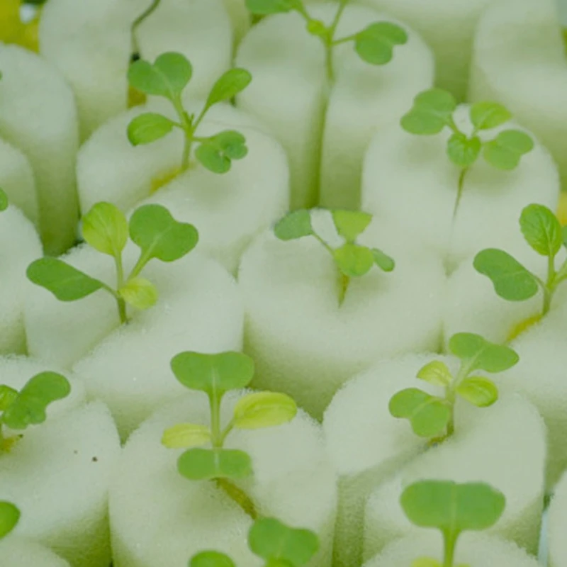 90pcs 32mm by 30mm Rooter Sponge Vegetables Nursery Soilless Hydroponic Cultivation for Seed Germination | Дом и сад