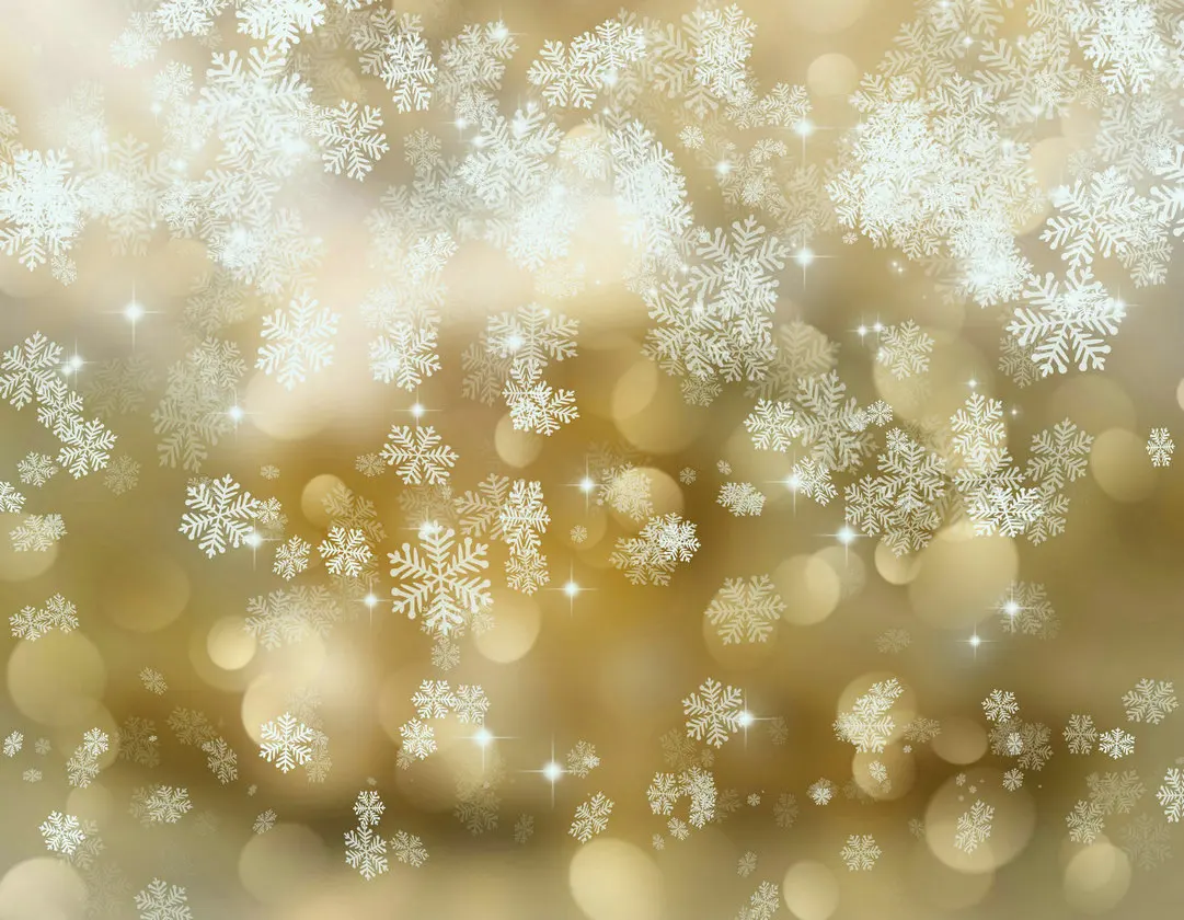 snowflake gold bokeh christmas photography backgrounds High quality Computer print party backdrop
snowflake gold bokeh christmas photography backgrounds High quality Computer print party backdrop