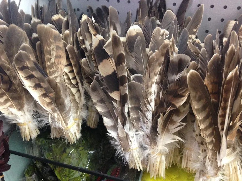 wholesale high quality 100pcs Scarce natural eagle feather 15-28cm / 6-12inch various decorative diy collect
wholesale high quality 100pcs Scarce natural eagle feather 15-28cm / 6-12inch various decorative diy collect