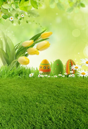 Spring Easter photography backdrops 5 ft x 8 ft vinyl print photo studio portrait photographic background for children F-087
Spring Easter photography backdrops 5 ft x 8 ft vinyl print photo studio portrait photographic background for children F-087