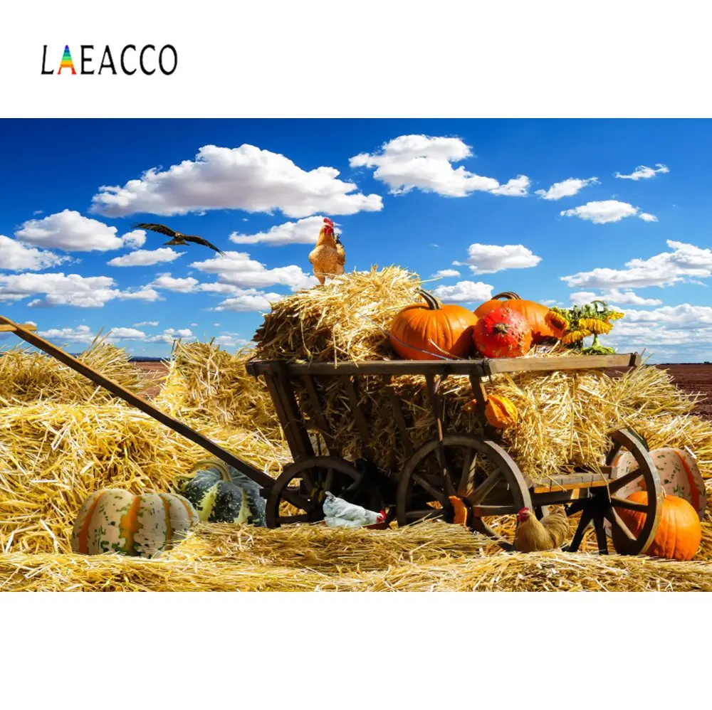 Laeacco фотография фоны ферма стог сена Тыква цыпленок осень Урожай небо облако фото фон фотосессия фотосъемка
Laeacco фотография фоны ферма стог сена Тыква цыпленок осень Урожай небо облако фото фон фотосессия фотосъемка