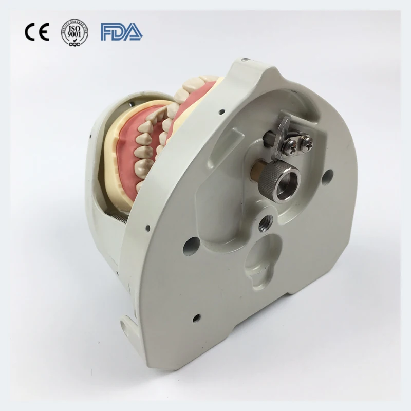 Sennior manikins Phantom Head with Torso for dental education Dental manikins Phantom Head for dentistry and dental technology
Sennior manikins Phantom Head with Torso for dental education Dental manikins Phantom Head for dentistry and dental technology