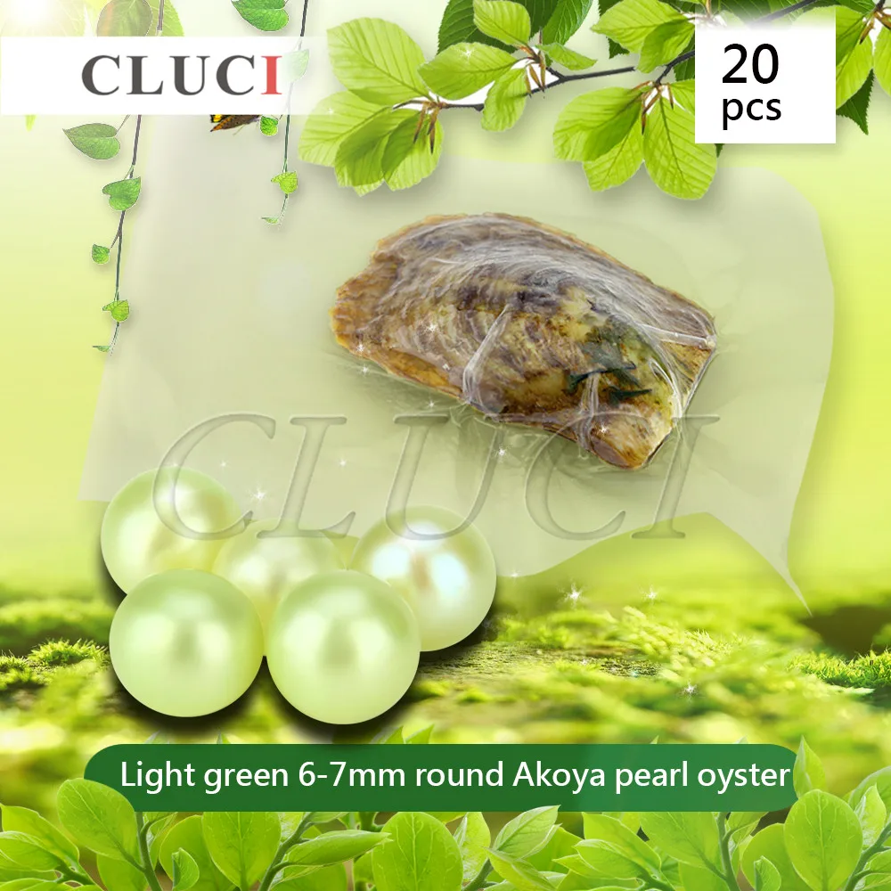 CLUCI Light Green 6-7mm round akoya skittle Pearls in Oysters with vacuum-packing 20pcs, Colorful Round Beads WP108SB
CLUCI Light Green 6-7mm round akoya skittle Pearls in Oysters with vacuum-packing 20pcs, Colorful Round Beads WP108SB