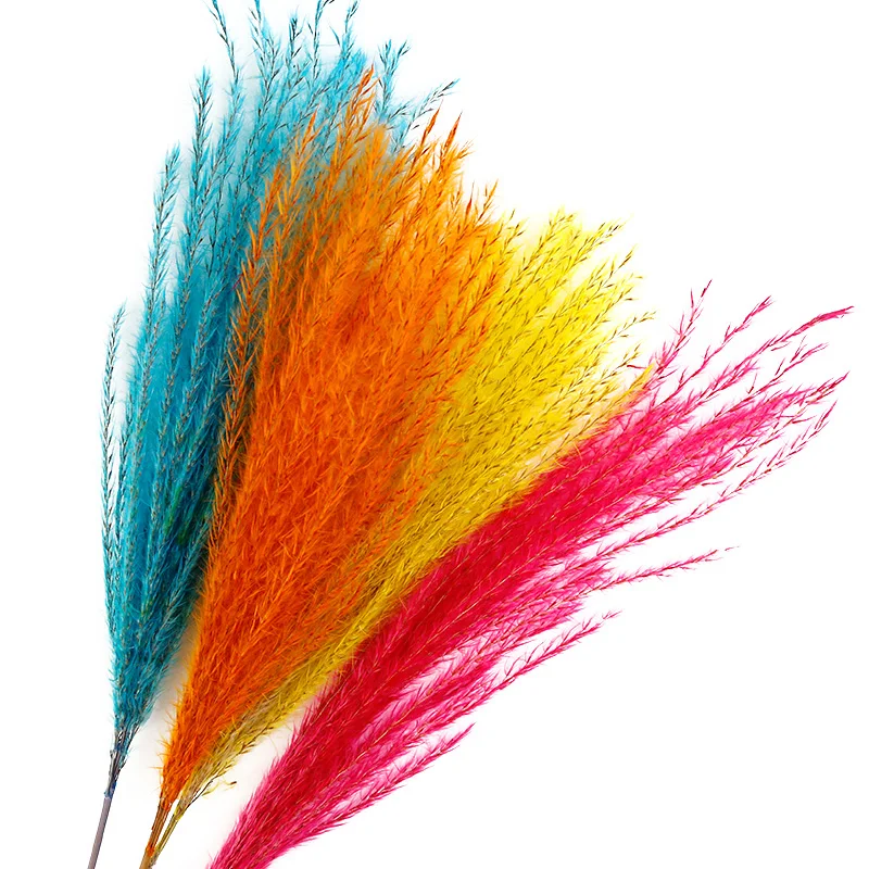Natural Reed Red Yellow Blue Dried Flower Photography Background Accessories Shooting Photo Backdrops DIY Decorations fotografia
Natural Reed Red Yellow Blue Dried Flower Photography Background Accessories Shooting Photo Backdrops DIY Decorations fotografia