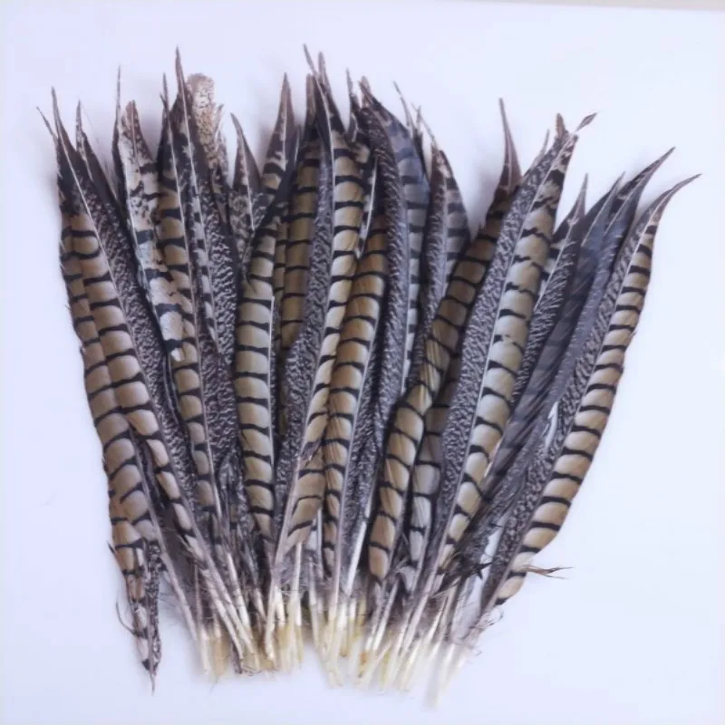 New! Wholesale 50pc quality natural Lady Amherst Pheasant feathers, 14-16inches / 35-40cm, DIY jewelry decoration
New! Wholesale 50pc quality natural Lady Amherst Pheasant feathers, 14-16inches / 35-40cm, DIY jewelry decoration