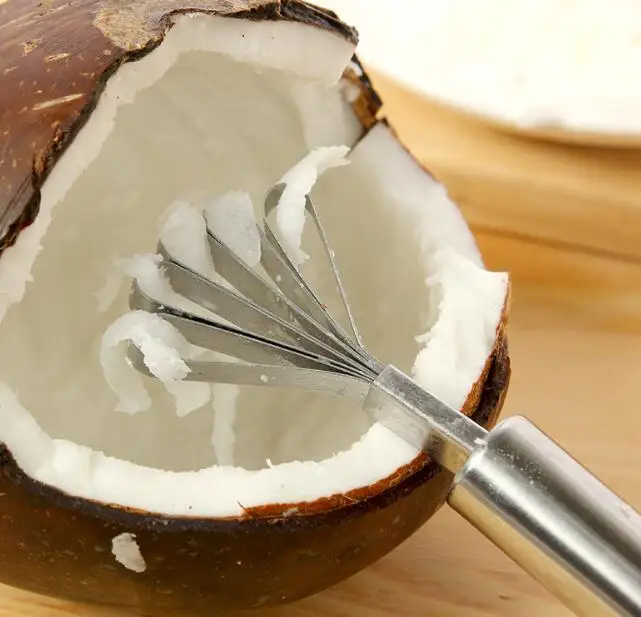 Stainless Steel Kitchen Fruit Coconut Shaver Tool Kitchen Fish Clean Scales Tools Kitchen Accessories SL5101
Stainless Steel Kitchen Fruit Coconut Shaver Tool Kitchen Fish Clean Scales Tools Kitchen Accessories SL5101