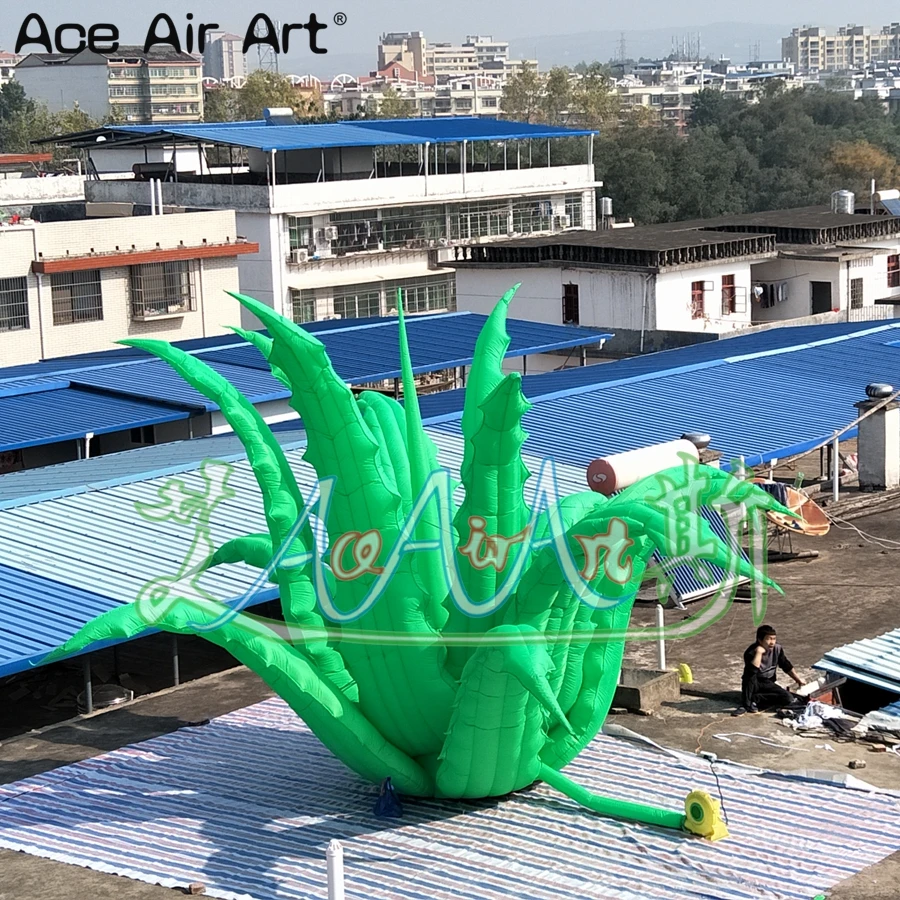 Unbelievable Giant 8m Diameter Inflatable Aloe Replica Flowering Plants Model Tentacle/Agave Americana for Sale
Unbelievable Giant 8m Diameter Inflatable Aloe Replica Flowering Plants Model Tentacle/Agave Americana for Sale