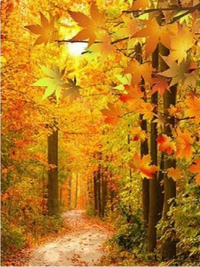 Diamond Mosaic Autumn Landscape Resin Drill Square/Round Full Diamond Painting Maple Leaves Diamond Embroidery Cross Stitch
Diamond Mosaic Autumn Landscape Resin Drill Square/Round Full Diamond Painting Maple Leaves Diamond Embroidery Cross Stitch