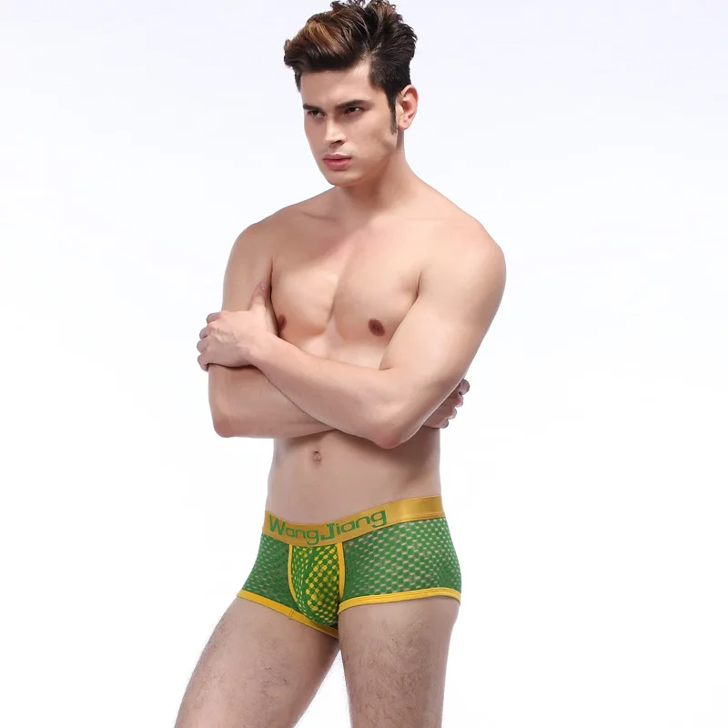 3pcs/lot WJ genuine men's underwear sexy pants breathable mesh hollow male underwear brand
3pcs/lot WJ genuine men's underwear sexy pants breathable mesh hollow male underwear brand