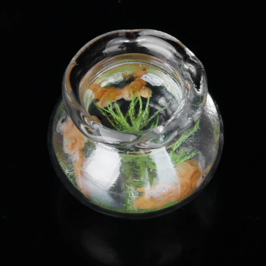 1/12 Dollhouse Miniature Mini Goldfish Bowl Fish Tank Aquarium with Gold Fish Doll House Decor Accessory
1/12 Dollhouse Miniature Mini Goldfish Bowl Fish Tank Aquarium with Gold Fish Doll House Decor Accessory