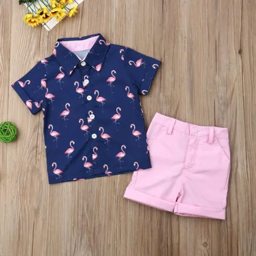 2PCS Set Toddler Kid Baby Boy Flamingo Print Tops T-shirt+Shorts Pants Outfits Clothes
2PCS Set Toddler Kid Baby Boy Flamingo Print Tops T-shirt+Shorts Pants Outfits Clothes