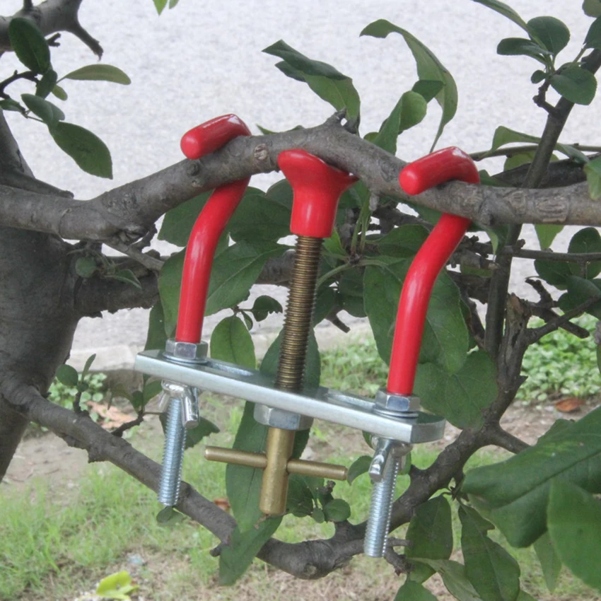 Bonsai Tools The Trees Branch Modulator Trunk Lopper Regulator Repair Grafting Knife Tool Garden Pruner Shears DIY Modeling Tool
Bonsai Tools The Trees Branch Modulator Trunk Lopper Regulator Repair Grafting Knife Tool Garden Pruner Shears DIY Modeling Tool