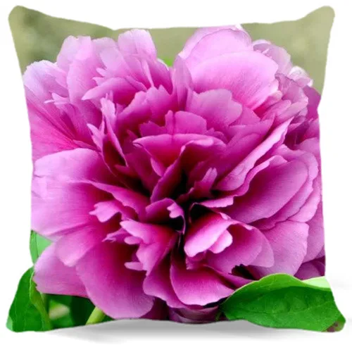 9 style 16'' 18" 19" Peony flowers Pattern Print Cotton polyester Vintage Retro Home car hotel Decorative pink red Pillow case
9 style 16'' 18" 19" Peony flowers Pattern Print Cotton polyester Vintage Retro Home car hotel Decorative pink red Pillow case