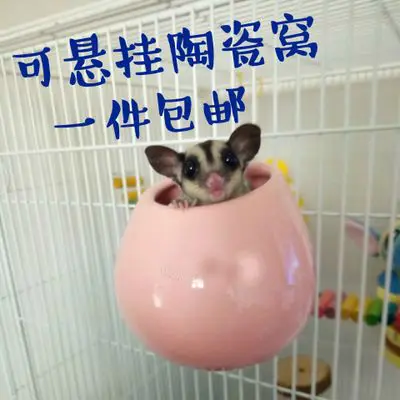 New product can suspend cooling ceramic nest sugar glider hamster squirrel porcelain nest
New product can suspend cooling ceramic nest sugar glider hamster squirrel porcelain nest