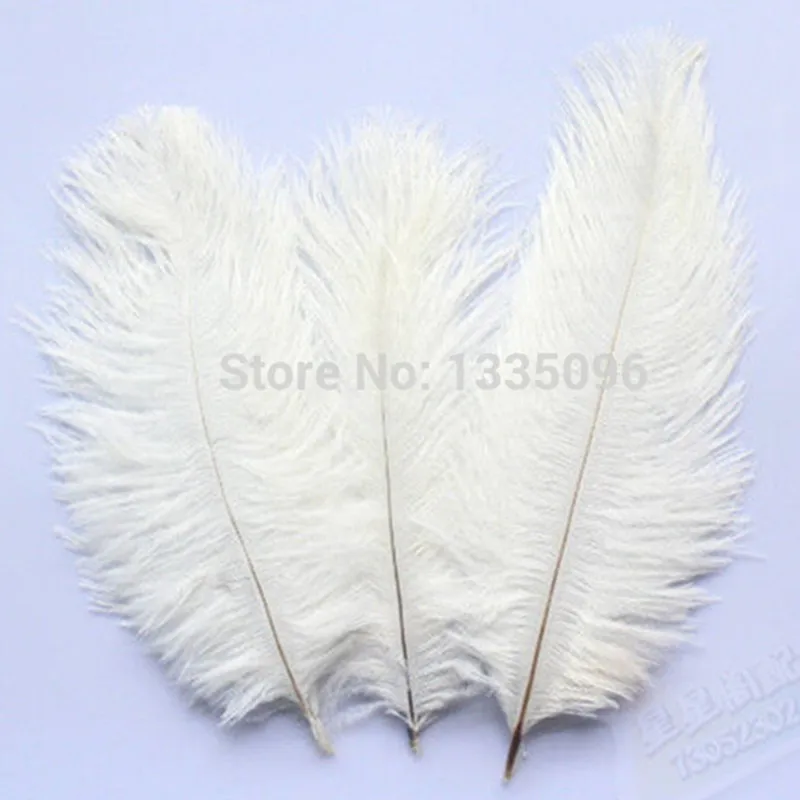 Wholesale 50 / natural color ostrich feathers white ostrich feather 8 to 10 inches 20-25 cm
Wholesale 50 / natural color ostrich feathers white ostrich feather 8 to 10 inches 20-25 cm