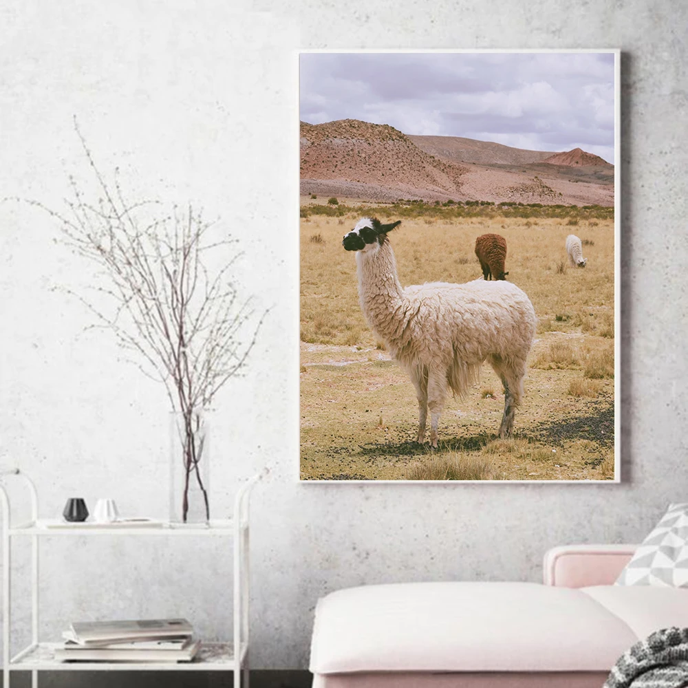 Fashion Llama Posters and Prints Alpaca Wall Art Canvas Painting Picture Nordic Animal Poster For Living Room Home Decoration
Fashion Llama Posters and Prints Alpaca Wall Art Canvas Painting Picture Nordic Animal Poster For Living Room Home Decoration