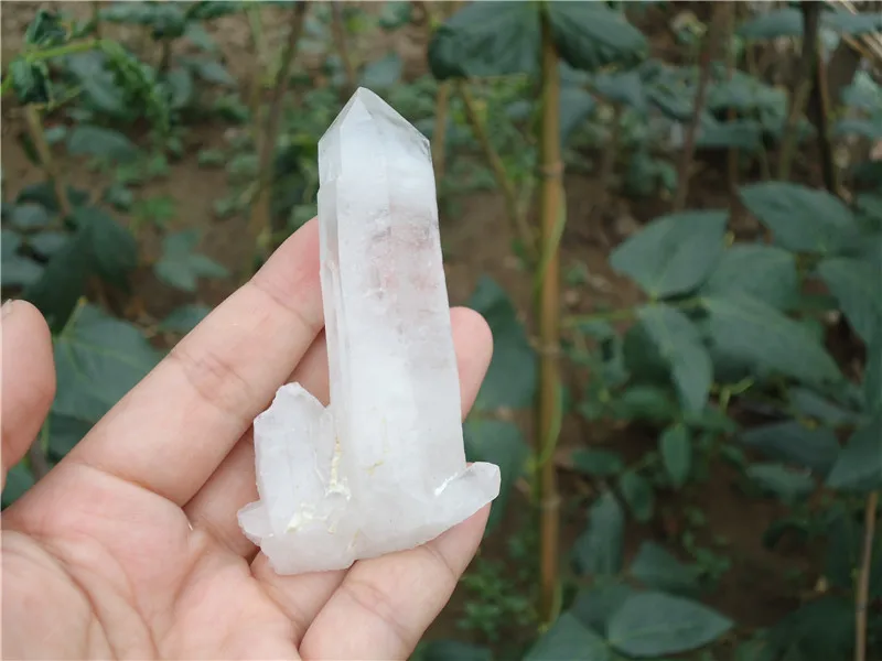 70g Natural White Quartz Flowers Crystal Clusters decoration drupelets purification radiation-resistant
70g Natural White Quartz Flowers Crystal Clusters decoration drupelets purification radiation-resistant