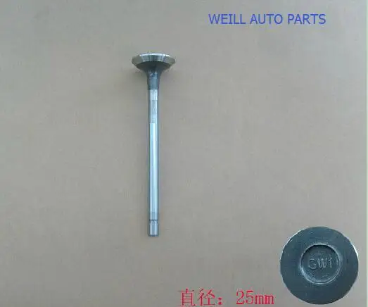 WEILL 1007012-ED01 EXHAUST VALVE FOR GREATWALL HAVAL H6 4D20engine 
WEILL 1007012-ED01 EXHAUST VALVE FOR GREATWALL HAVAL H6 4D20engine
