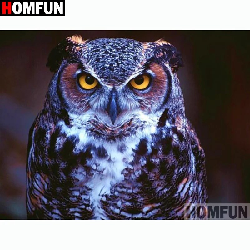 HOMFUN Full Square/Round Drill 5D DIY Diamond Painting "Animal owl" Embroidery Cross Stitch 3D Home Decor Gift A13200
HOMFUN Full Square/Round Drill 5D DIY Diamond Painting "Animal owl" Embroidery Cross Stitch 3D Home Decor Gift A13200