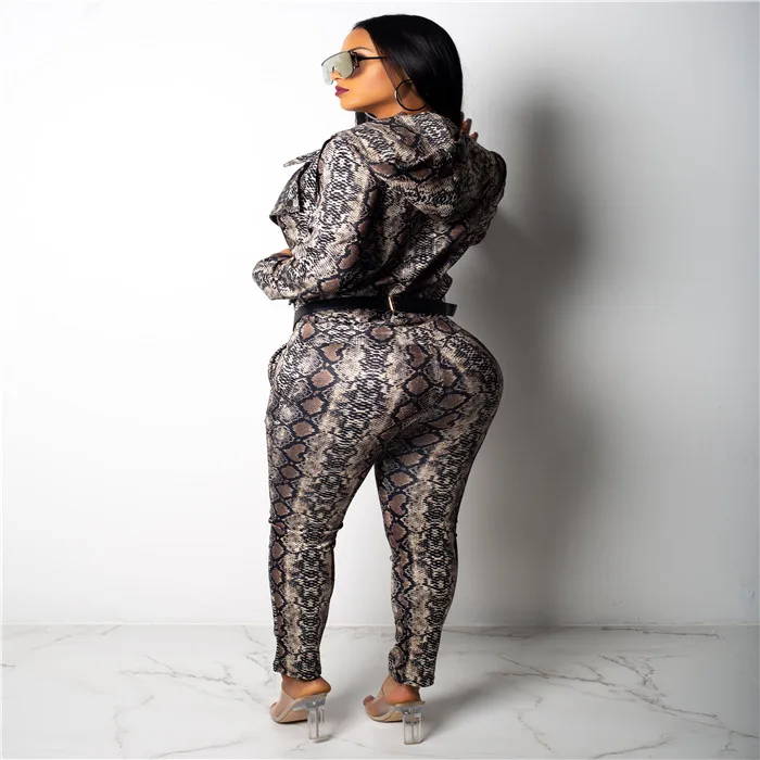 Two piece set for women 2019 Spring Autumn Long Sleeve V-Neck Print Snack hoodies woman two piece outfit set woman tracksuit
Two piece set for women 2019 Spring Autumn Long Sleeve V-Neck Print Snack hoodies woman two piece outfit set woman tracksuit