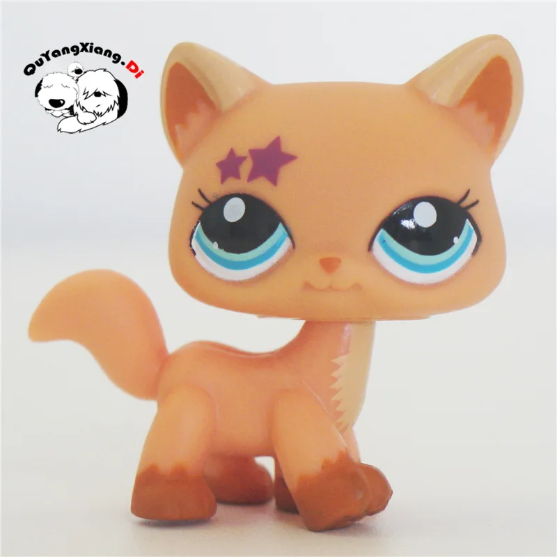 CWM064 Pet Shop Animal Five-pointed star Kitty Khaki Cat doll action Figure kitten
CWM064 Pet Shop Animal Five-pointed star Kitty Khaki Cat doll action Figure kitten