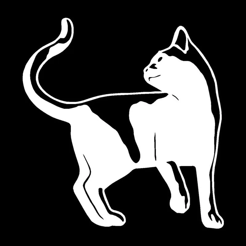 14.5*15.2CM Funny Cat Personalized Fashion Decoration Window Decals High Quality Vinyl Stickers Car Accessories C6-0912
14.5*15.2CM Funny Cat Personalized Fashion Decoration Window Decals High Quality Vinyl Stickers Car Accessories C6-0912