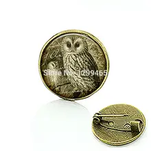 Retro ethnic style Beautiful OWL jewelry art picture brooch jewelry leisure series essential Glass cabochon dome medal C 668