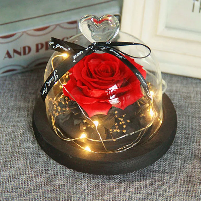 Glass Cover Fresh Preserved Rose Flower Led Light Valentien's Gifts Birthday Gift Rose in a Glass Dome Wedding Decorations
Glass Cover Fresh Preserved Rose Flower Led Light Valentien's Gifts Birthday Gift Rose in a Glass Dome Wedding Decorations