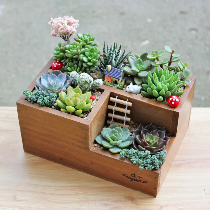 Retro Desktop Wooden Storage Box Multifunctional Succulent Plants Flowers Pot
Retro Desktop Wooden Storage Box Multifunctional Succulent Plants Flowers Pot