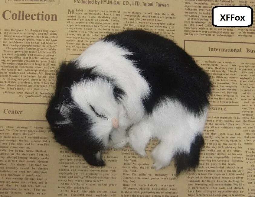 new real life black&white cat model plastic&furs sleeping cat doll gift about 14x11cm xf1537
new real life black&white cat model plastic&furs sleeping cat doll gift about 14x11cm xf1537