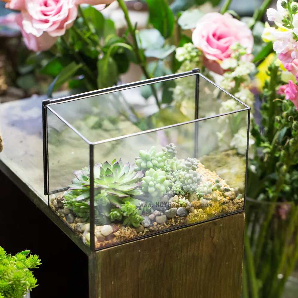 Indoor Flowerpot Rectangle Geometric Terrarium Planter for Succulents Tabletop Succulent Plant Pot Bonsai Home Garden Decorative
Indoor Flowerpot Rectangle Geometric Terrarium Planter for Succulents Tabletop Succulent Plant Pot Bonsai Home Garden Decorative