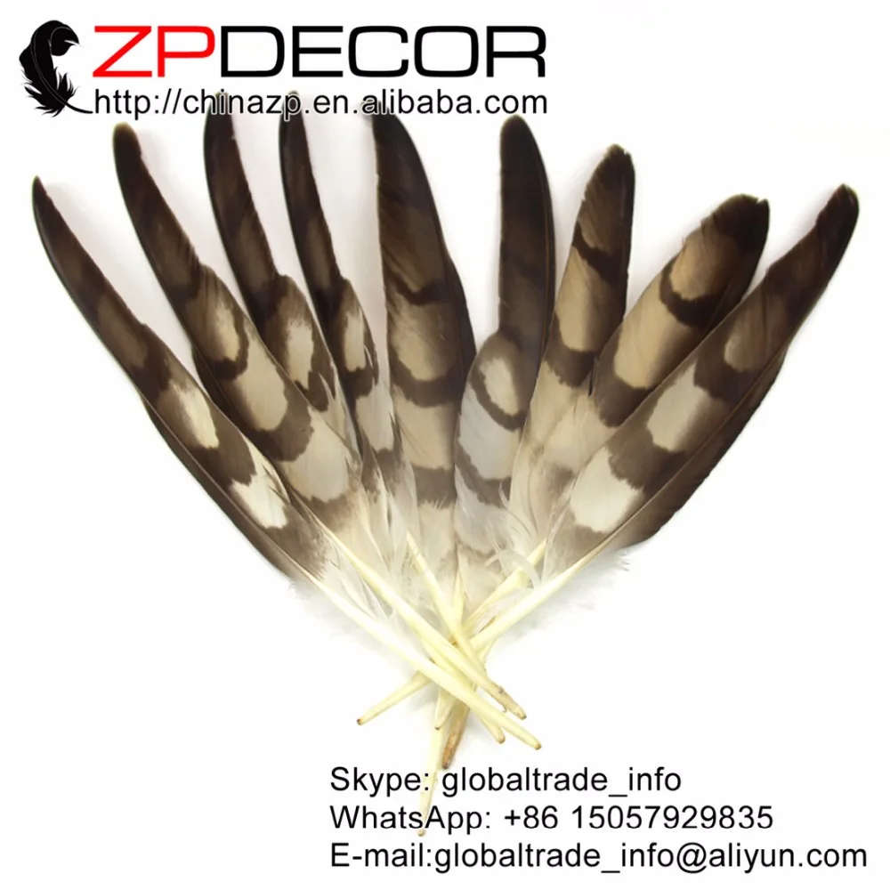 Новинка! ZPDECOR 30-35 см (12-14 дюймов) 50 шт./лот, красивые, хорошее качество, редкие, натуральные перышки с крыльями орла для DIY, Аксессуары для платья
Новинка! ZPDECOR 30-35 см (12-14 дюймов) 50 шт./лот, красивые, хорошее качество, редкие, натуральные перышки с крыльями орла для DIY, Аксессуары для платья