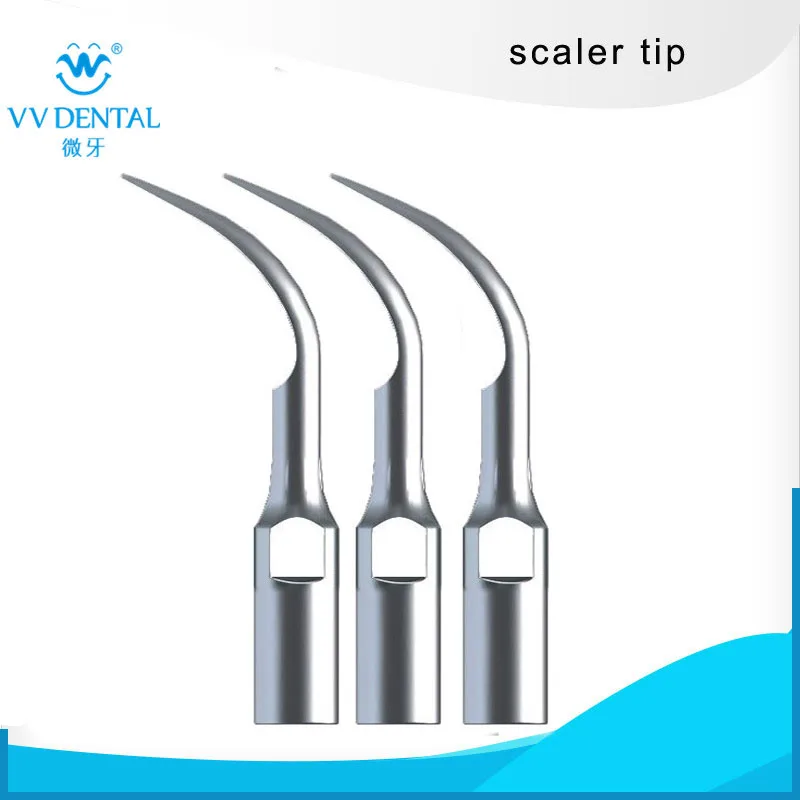 3PCS GD1 dental cleaning tip for WOODPECKER-DTE, SATELEC, HENRY SCEHEIN S-SERIES DENTAL EQUIPMENT
3PCS GD1 dental cleaning tip for WOODPECKER-DTE, SATELEC, HENRY SCEHEIN S-SERIES DENTAL EQUIPMENT
