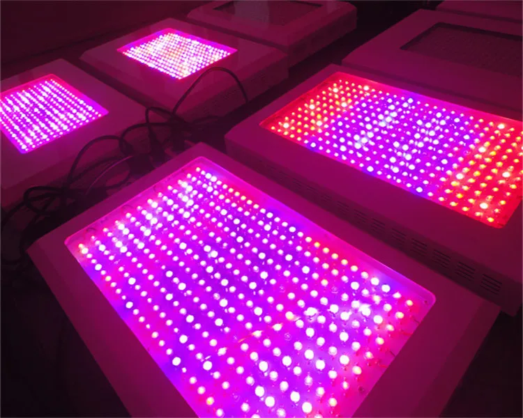 Top value 1000W led grow light red 630nm blue 460nm grow led lights for plants growing and flowering plant grow lights
Top value 1000W led grow light red 630nm blue 460nm grow led lights for plants growing and flowering plant grow lights