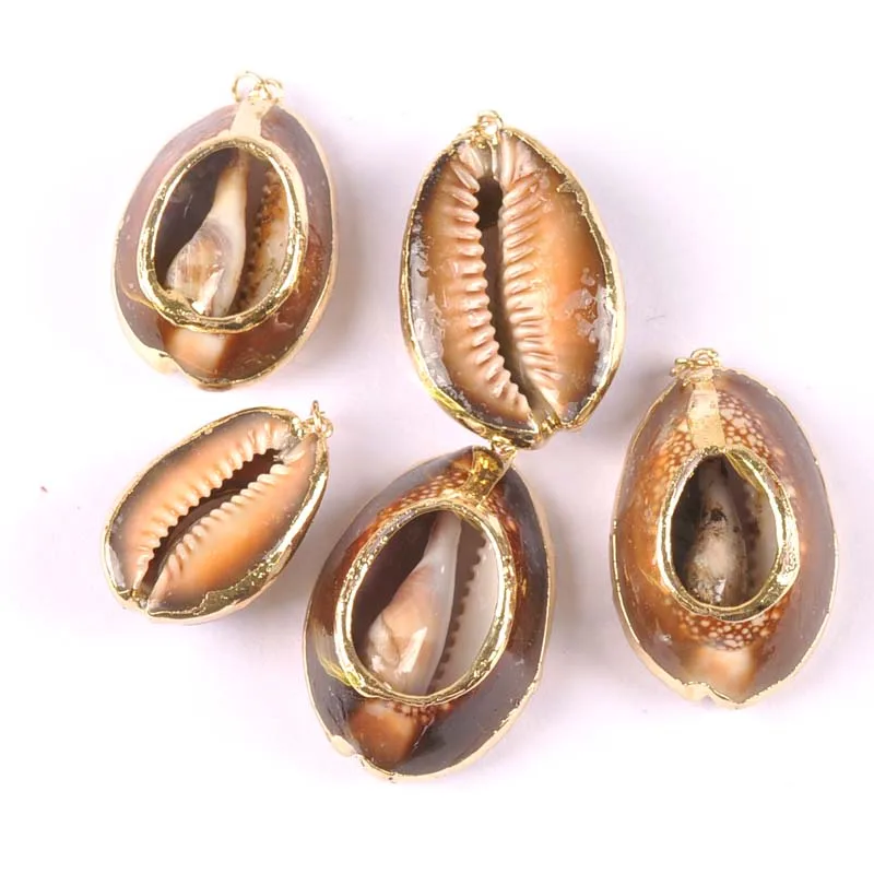 20-35mm Cut off Natural Shell Gold Plated for Jewelry DIY handmade charms pendant SeaShells Home decoration 5pcs TRS0274
20-35mm Cut off Natural Shell Gold Plated for Jewelry DIY handmade charms pendant SeaShells Home decoration 5pcs TRS0274