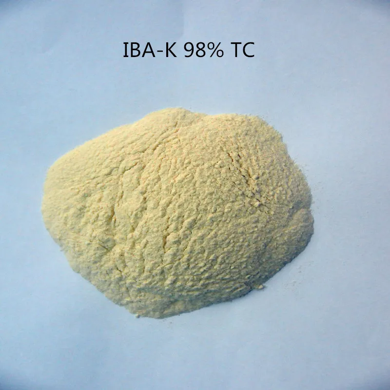 1KG indole-3-butyric acid potassium IBA-K water soluble 3-Indolebutyric Acid potassium 98% IBA Salt/IBA Auxin with low pric
1KG indole-3-butyric acid potassium IBA-K water soluble 3-Indolebutyric Acid potassium 98% IBA Salt/IBA Auxin with low pric