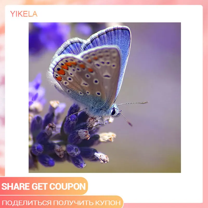 5D DIY Diamond Embroidery Cross Stitch Needlework Home Decoration Square Drill Flower Butterfly Diamond Painting
5D DIY Diamond Embroidery Cross Stitch Needlework Home Decoration Square Drill Flower Butterfly Diamond Painting