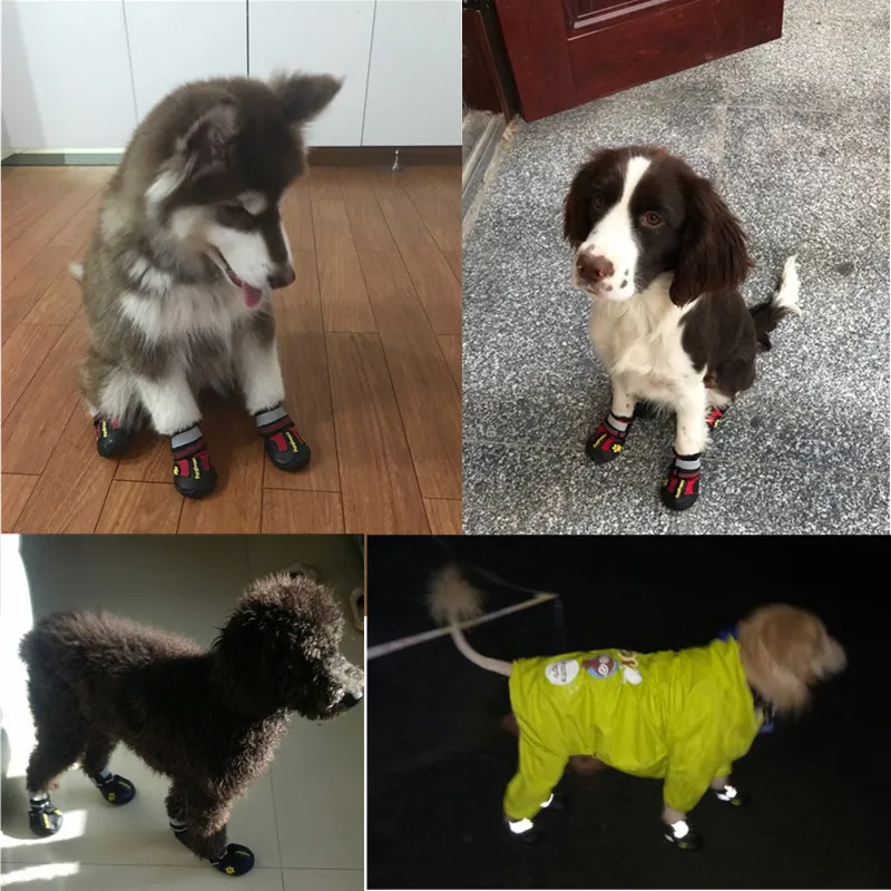 4Pcs Large Medium Dog Shoes Waterproof Anti-slip Dog Sneakers Outdoor Golden Retriever Labrador Durable Reflective Pet Shoes 20A
4Pcs Large Medium Dog Shoes Waterproof Anti-slip Dog Sneakers Outdoor Golden Retriever Labrador Durable Reflective Pet Shoes 20A