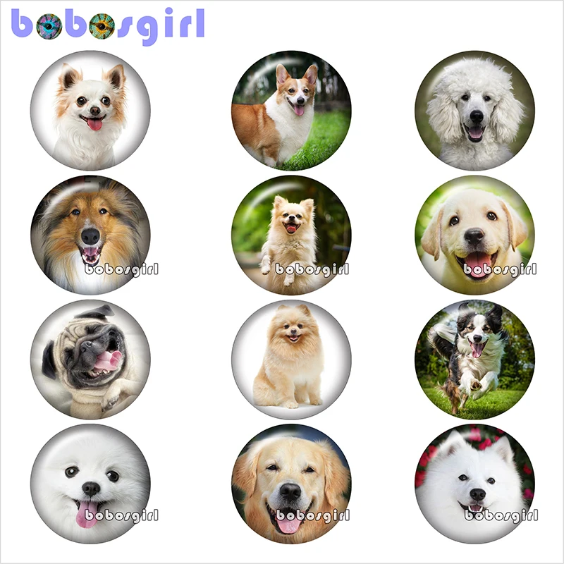 dog glass snap button jewelry DIY Round photo cabochons flat back TW1056
dog glass snap button jewelry DIY Round photo cabochons flat back TW1056